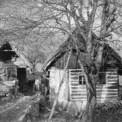 House in White Carniola, 1914.