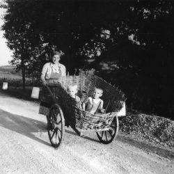 Children in a handcart, White Carniola, 1961.