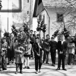 Cvetna nedelja na Gorenjskem, 1959. Izvirnik hrani Glasbenonarodopisni inštitut ZRC SAZU.
