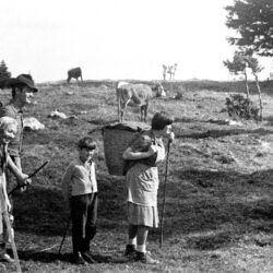 Arriving on Gojška planina, circa 1965. From the archive of France Humar, Vodice.