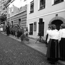 Ljudsko petje se v Kamniku
in okolici vključuje v nekatere
javne prireditve. Nastop Predic
na Šutni v Kamniku leta 2013.